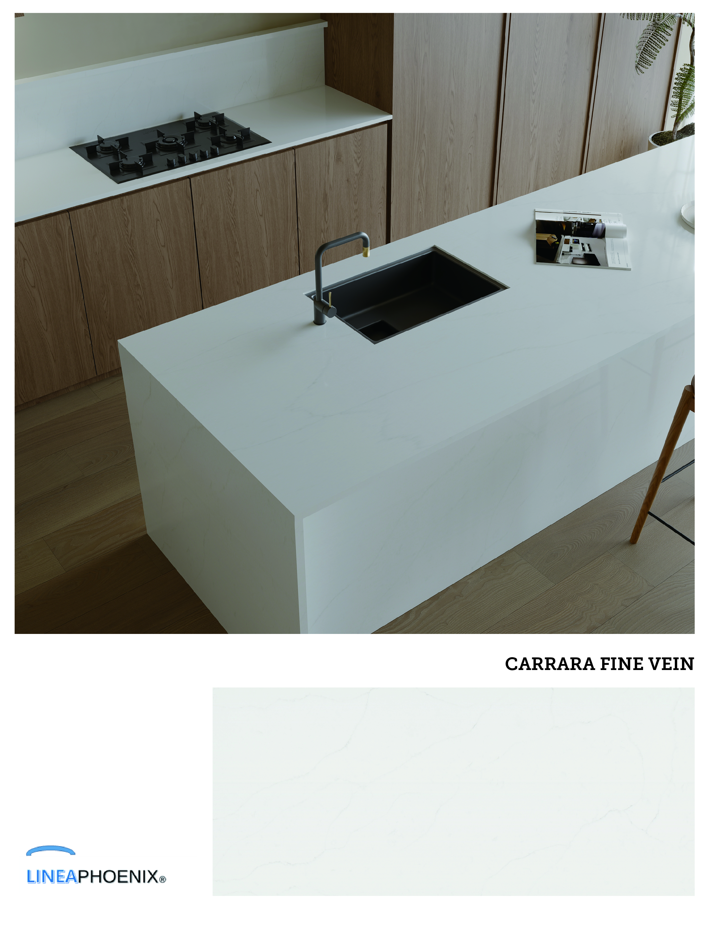 CARRARA FINE VEIN