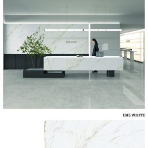 IBIS WHITE R