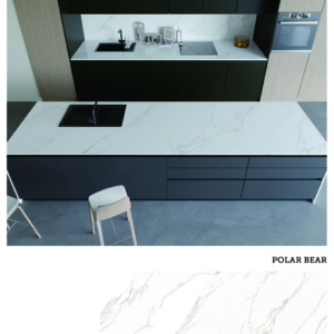 POLAR BEAR R