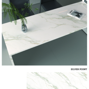 SILVER POINT R